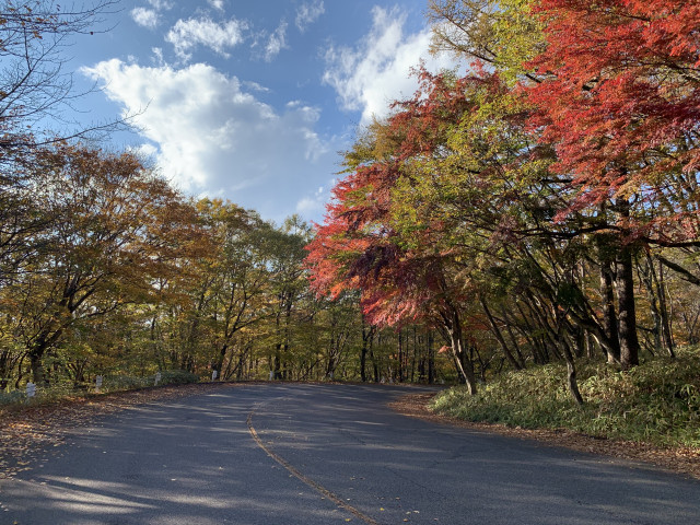 【鬼怒川・川治】日塩もみじライン